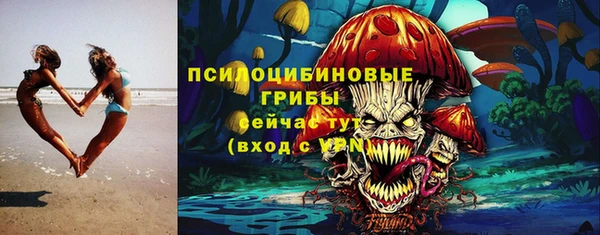 меф Белокуриха