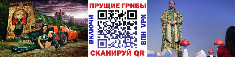 Галлюциногенные грибы Psilocybe  Надым 